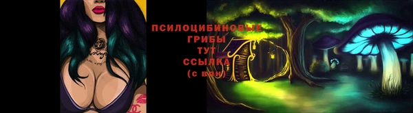 соль ск Аркадак